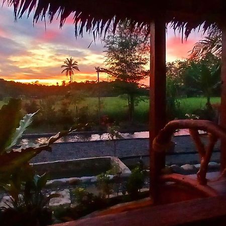 Tropical Jungle Lodge & Jungle Trekking Bukit Lawang Exterior foto