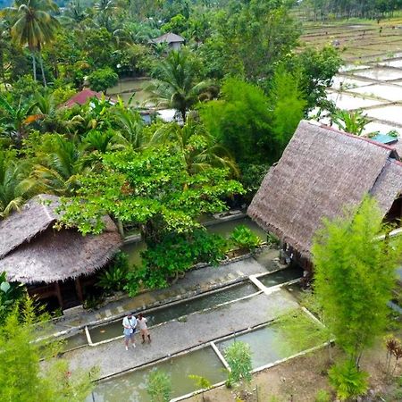 Tropical Jungle Lodge & Jungle Trekking Bukit Lawang Exterior foto