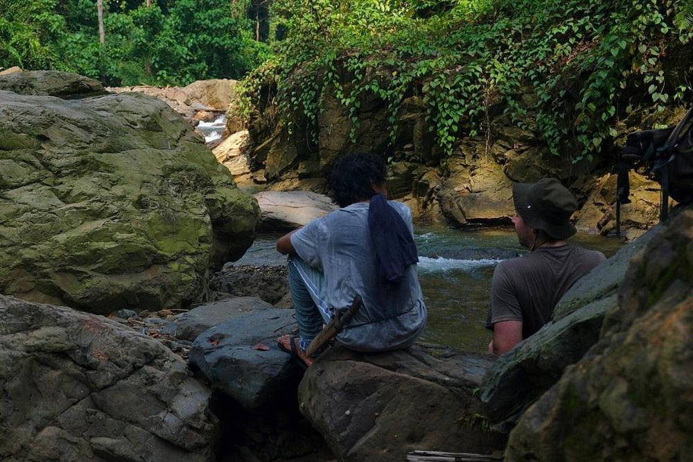 Tropical Jungle Lodge & Jungle Trekking Bukit Lawang Exterior foto
