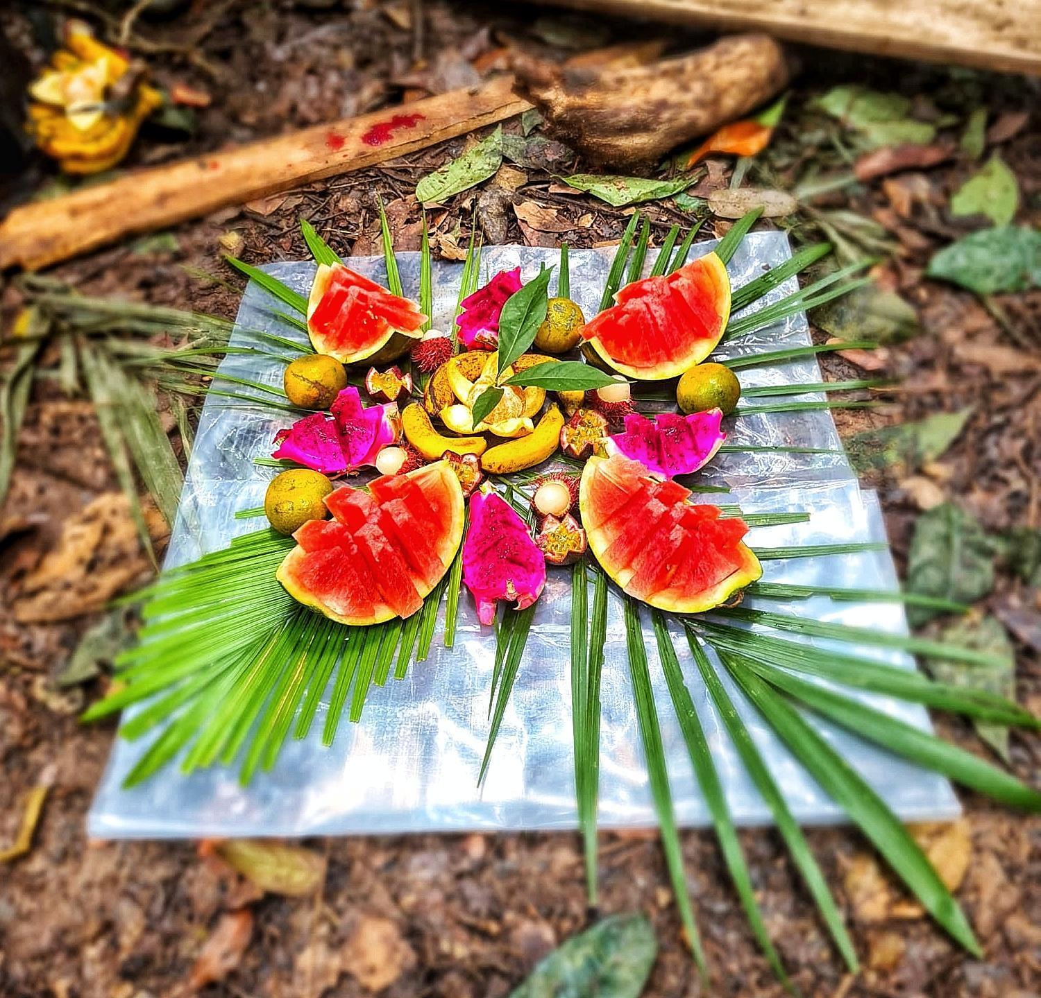 Tropical Jungle Lodge & Jungle Trekking Bukit Lawang Exterior foto