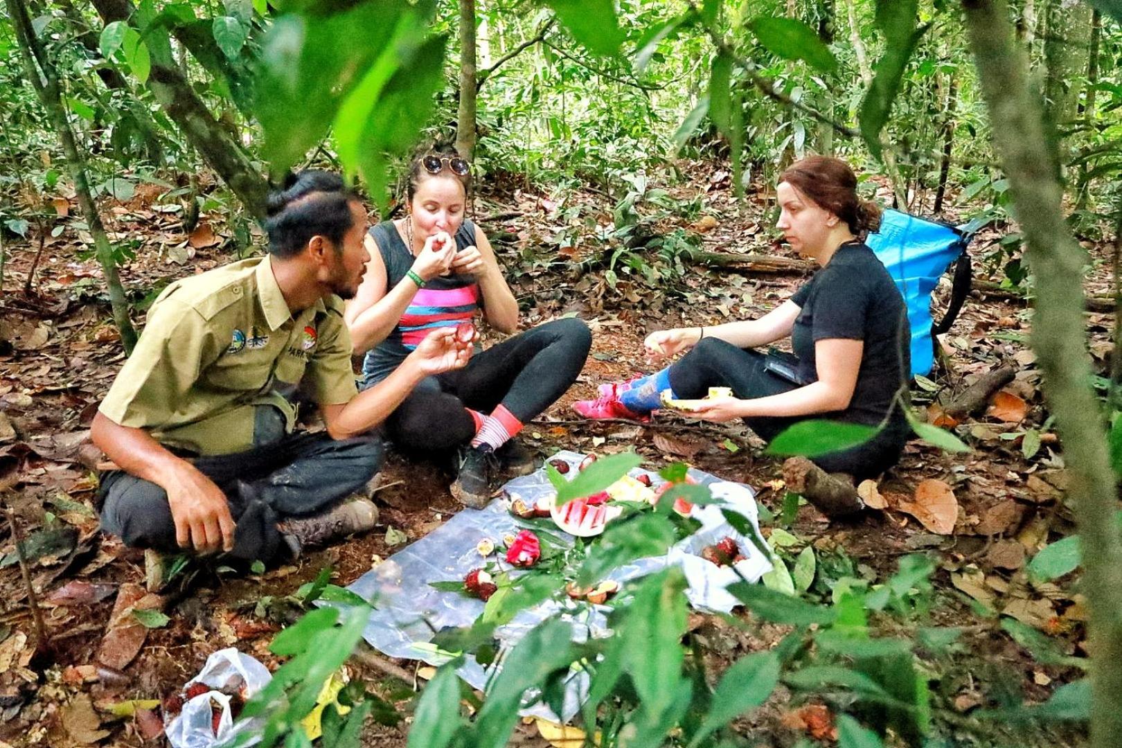 Tropical Jungle Lodge & Jungle Trekking Bukit Lawang Exterior foto