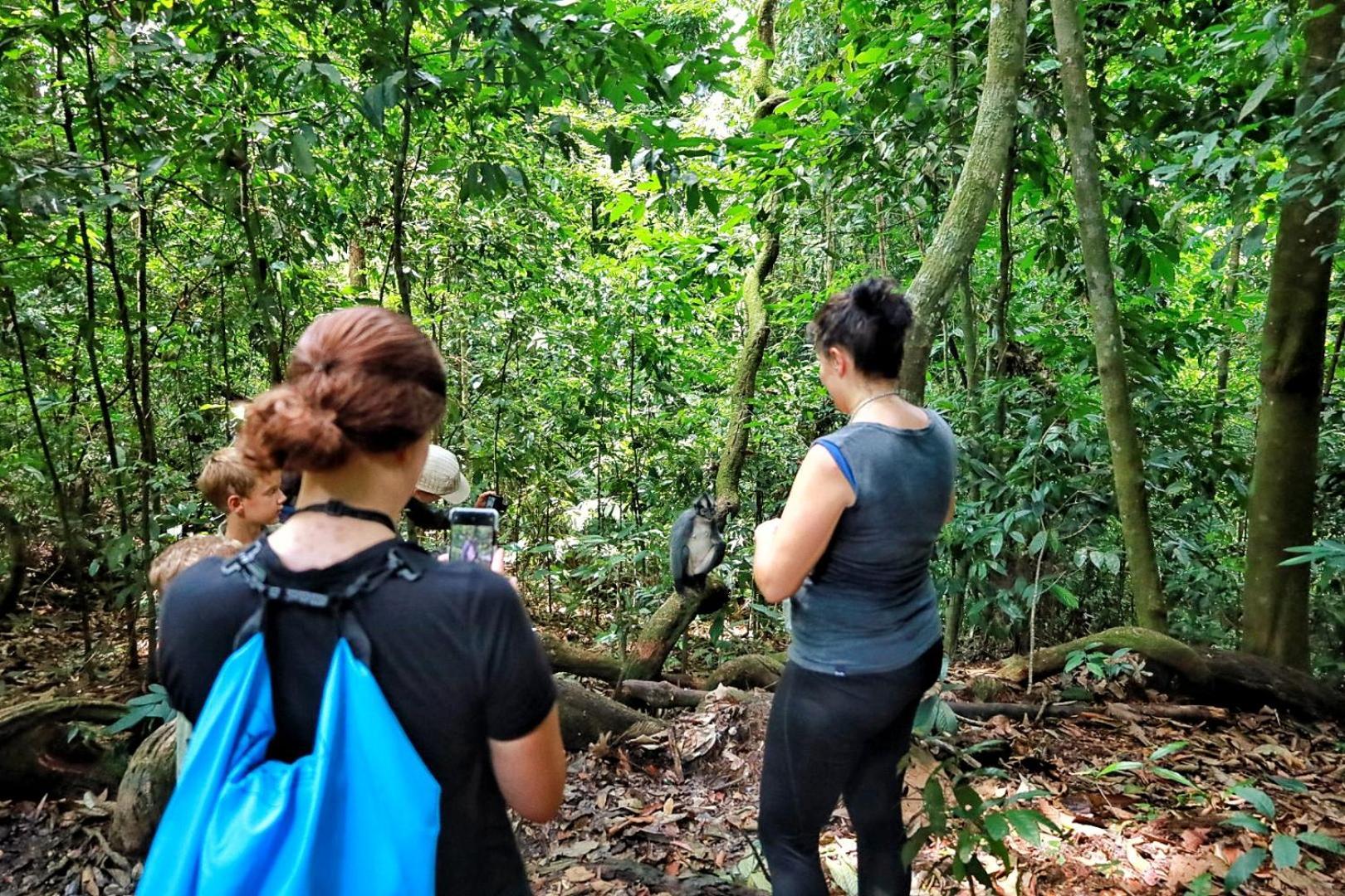 Tropical Jungle Lodge & Jungle Trekking Bukit Lawang Exterior foto