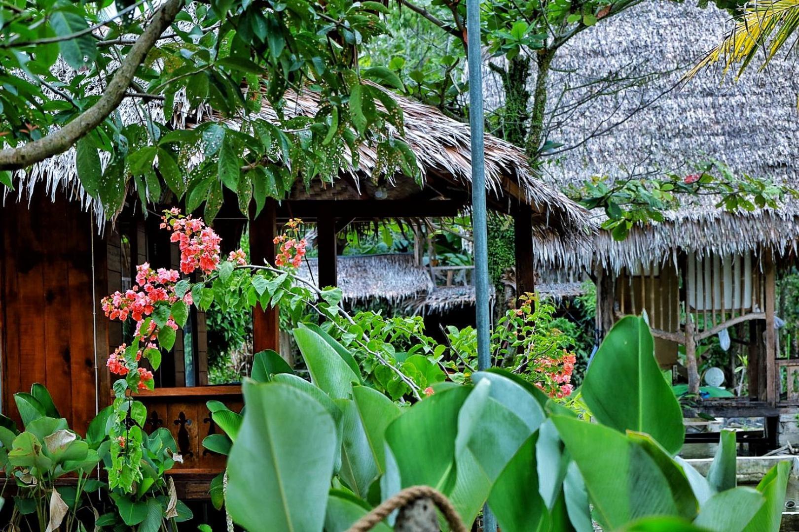 Tropical Jungle Lodge & Jungle Trekking Bukit Lawang Exterior foto