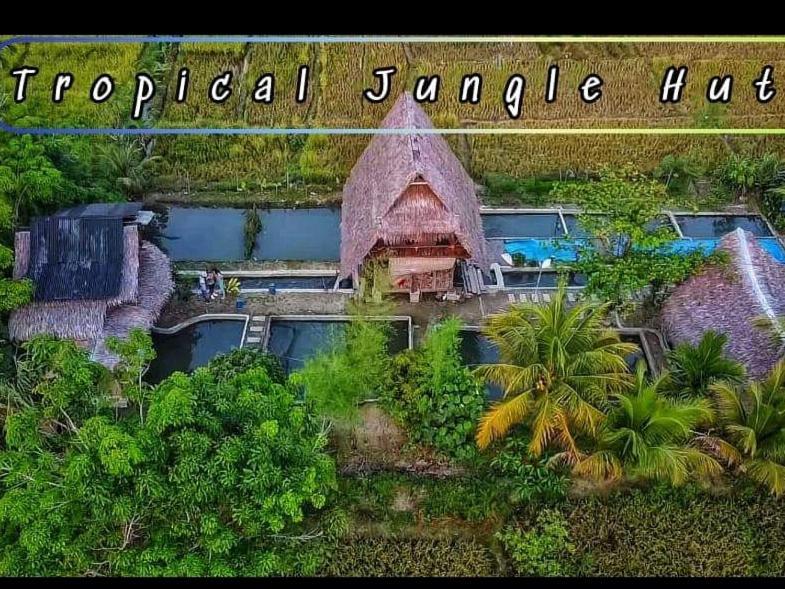 Tropical Jungle Lodge & Jungle Trekking Bukit Lawang Exterior foto